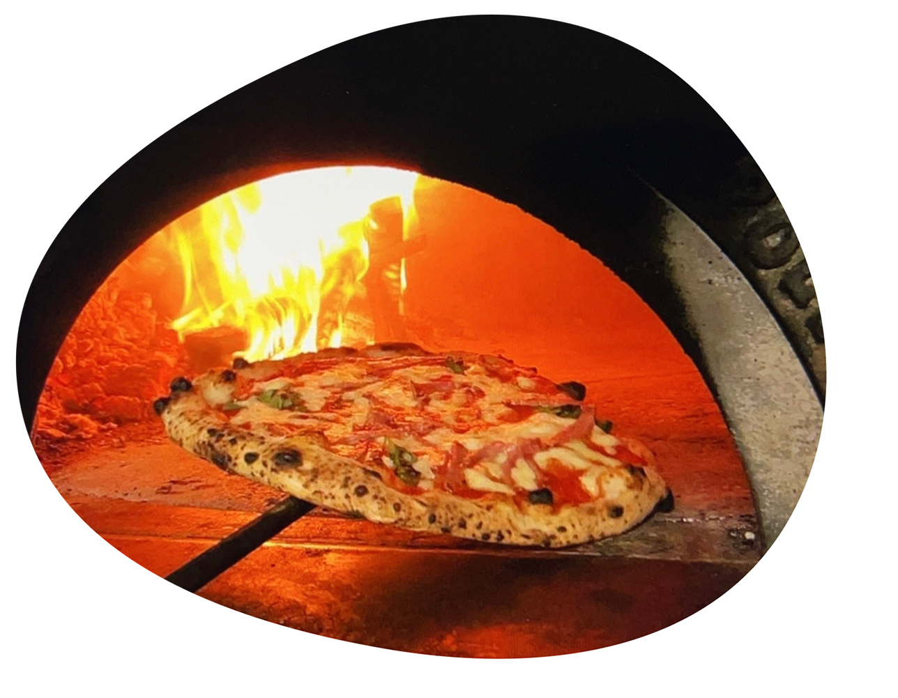 Rishiri Pizza Kamado